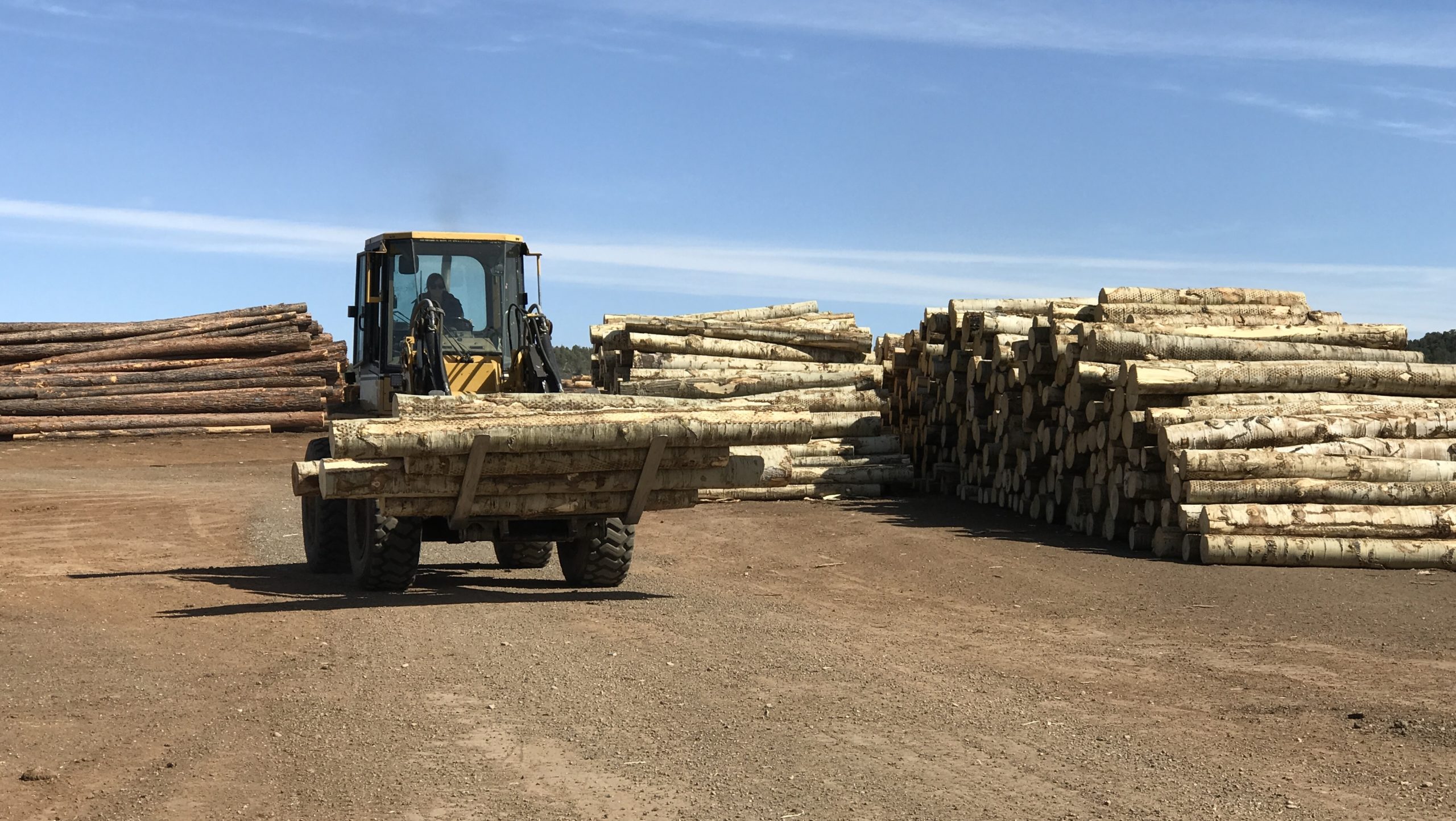 Loan Program Mitigates Economic Impact on Forest Products Businesses