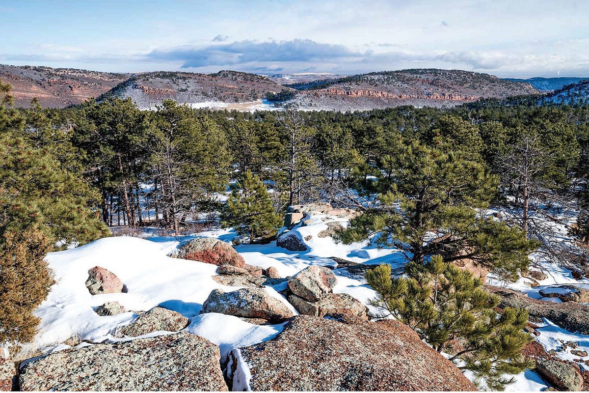 Larimer County and Steputis Family Join Forces to Conserve 884-Acre Ranch