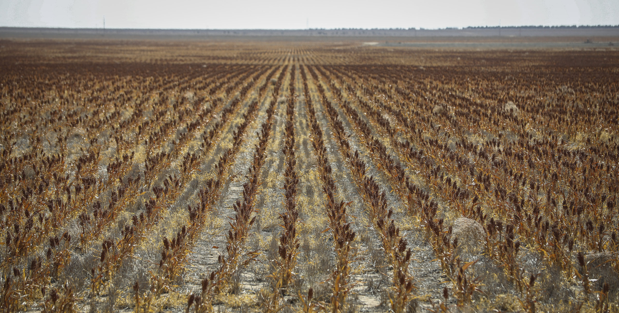 Colorado Activates Drought Task Force Statewide