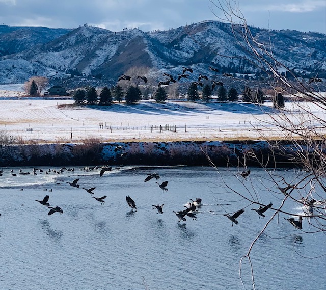 Photo of the Week: Watson Lake, Bellvue