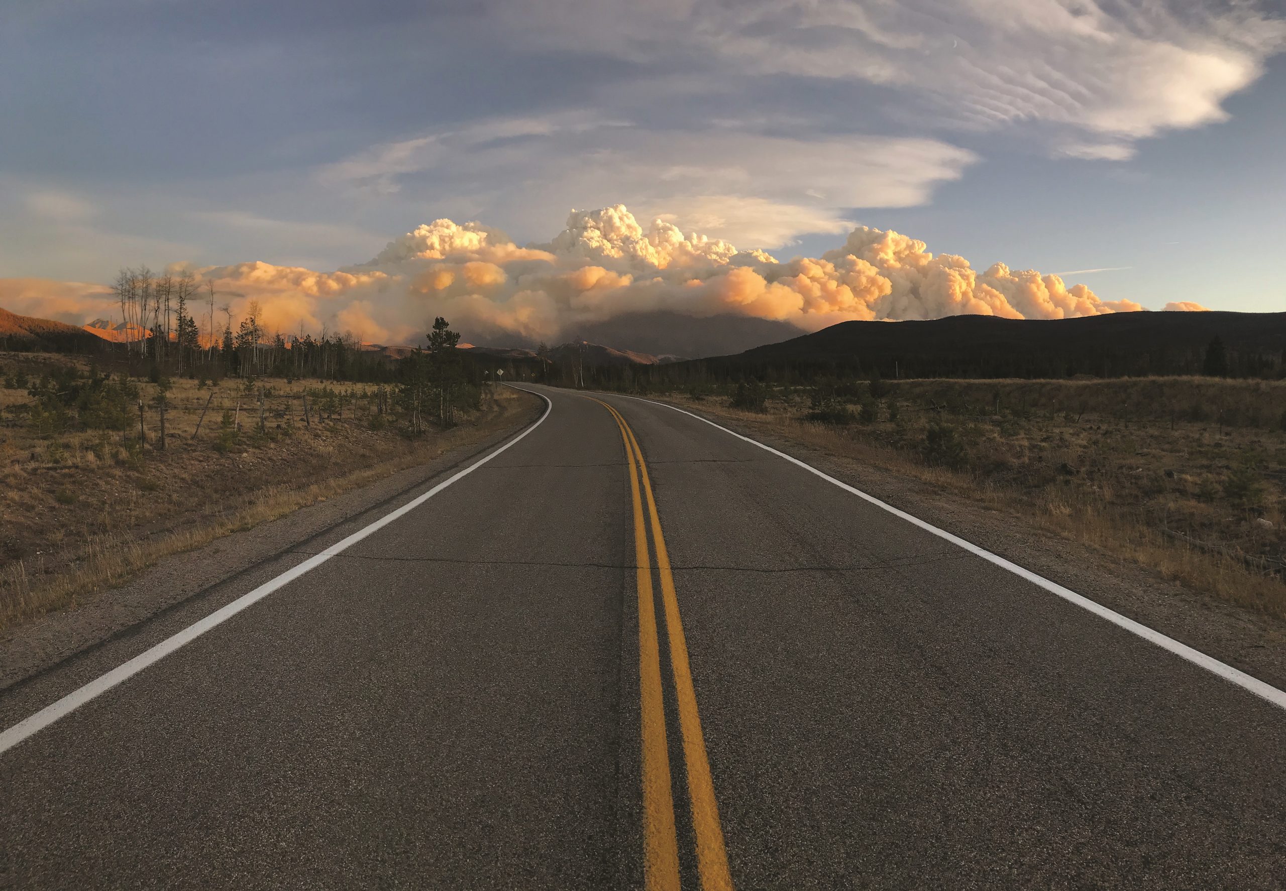 Report Focuses on Next Steps for State Following Historic Wildfires