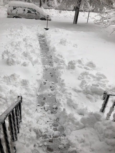 City of Fort Collins Facilities, Programming and Transfort Closed Today