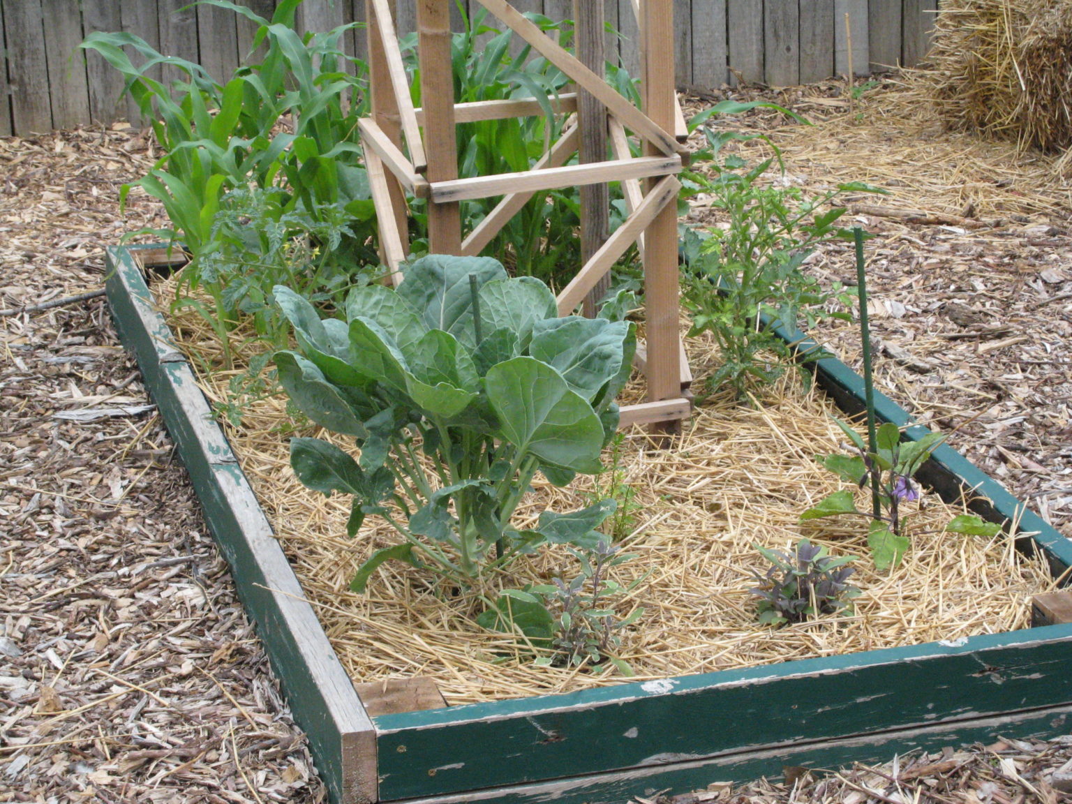 Tips From the Pros for A Great Vegetable Garden