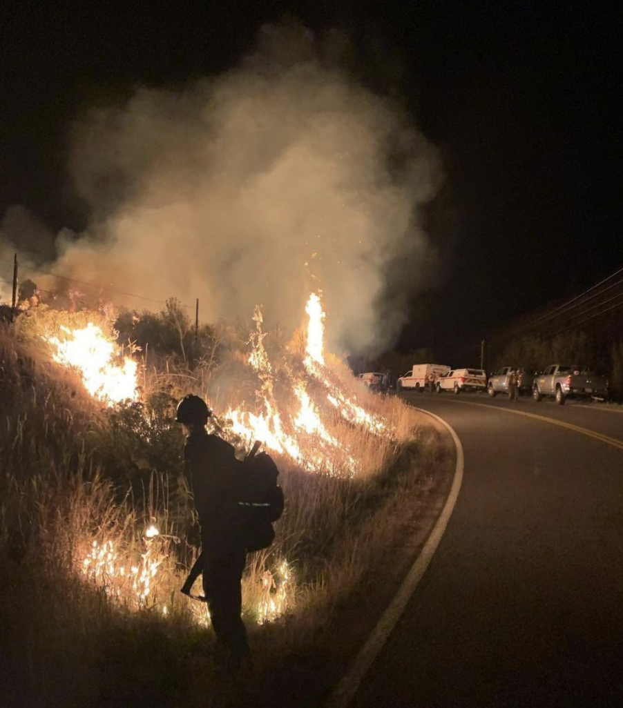 Five Years After the Cameron Peak Fire: Voices of Recovery and Resilience in Northern Colorado
