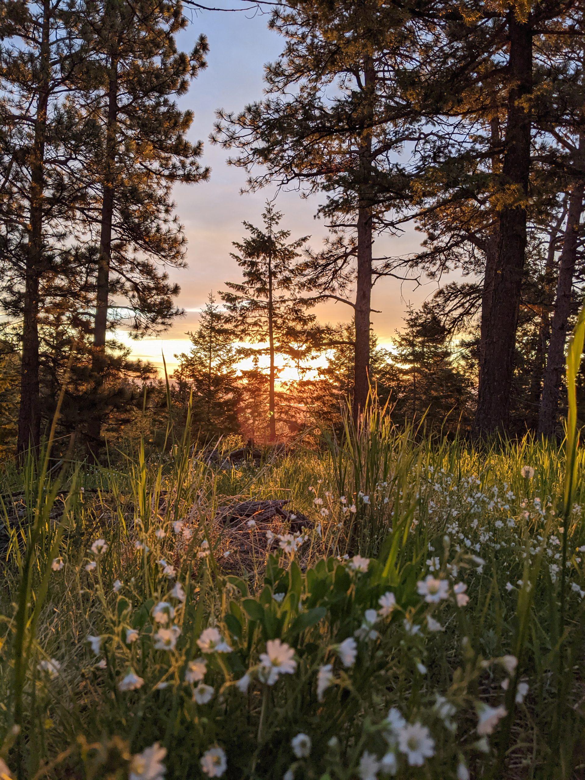Photo of the Week: After a Good Night’s Rest