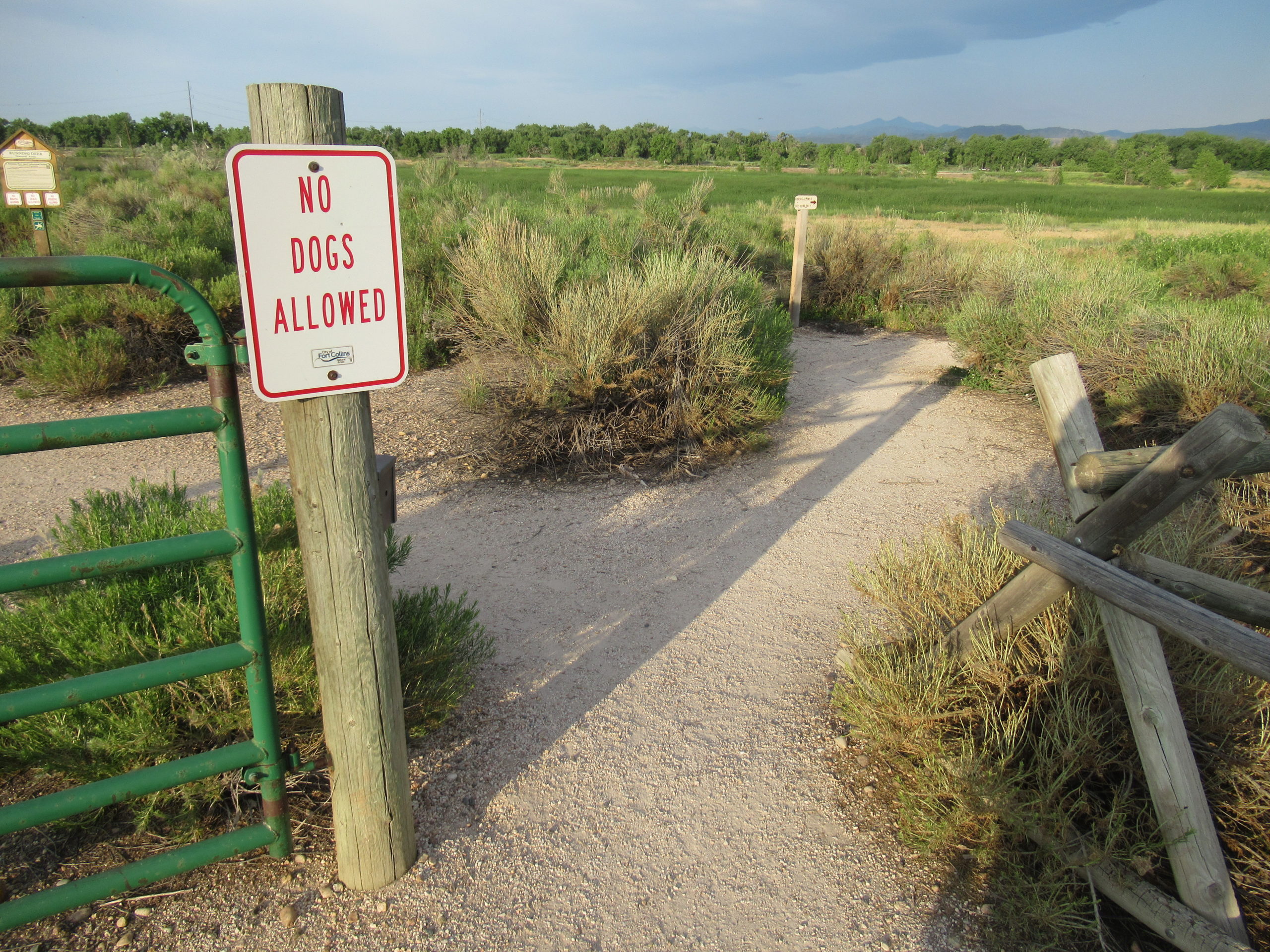 are dogs allowed at running deer natural area