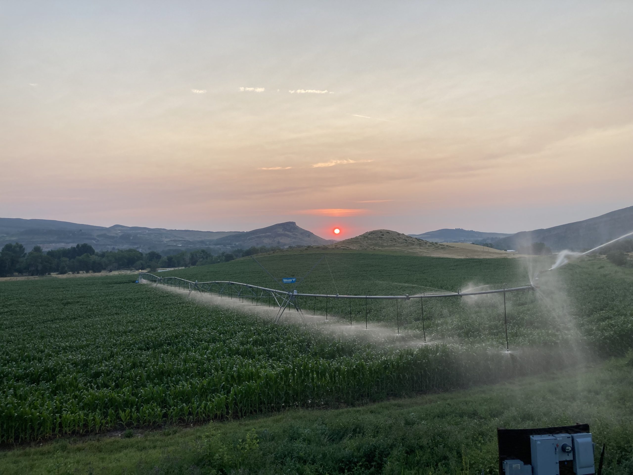 Photo of the Week: Sunrise in Bellvue