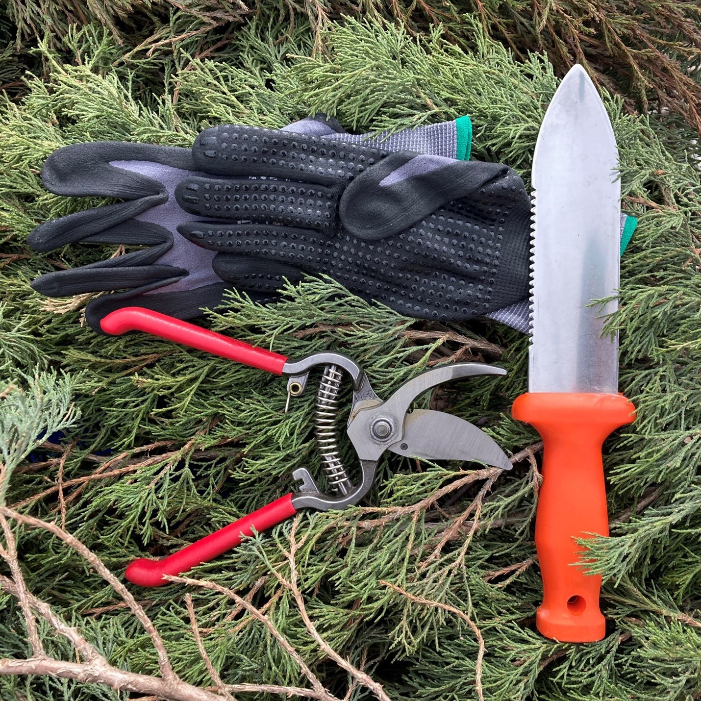 Must-Have Garden Tools