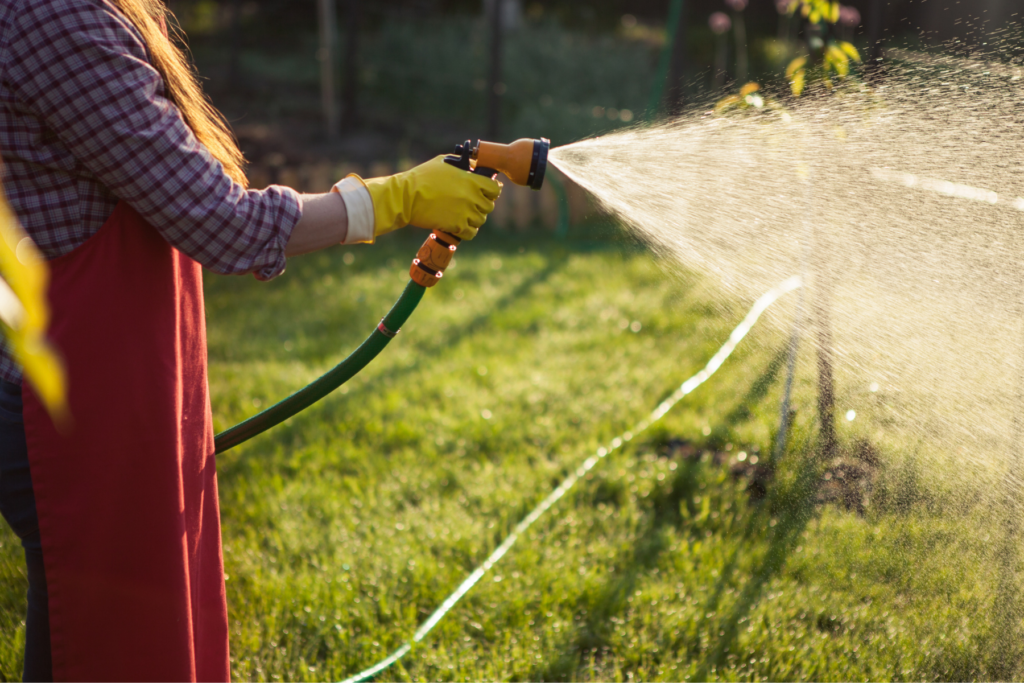 Watering Best Practices for Newly Planted Trees