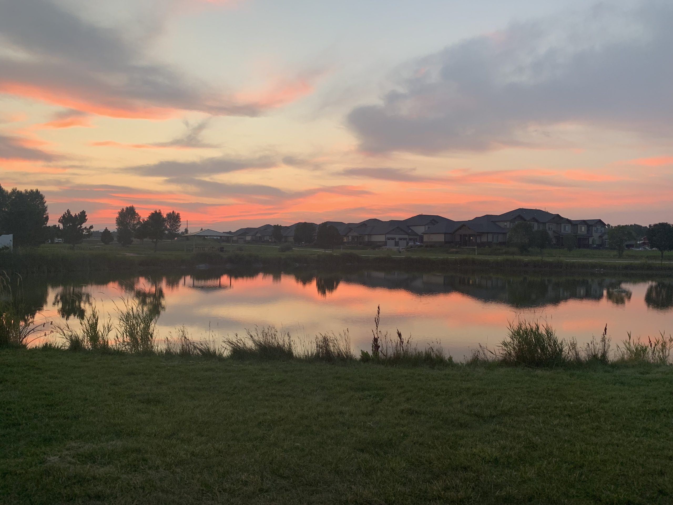 Photo of the Week: The Meadows in Wellington