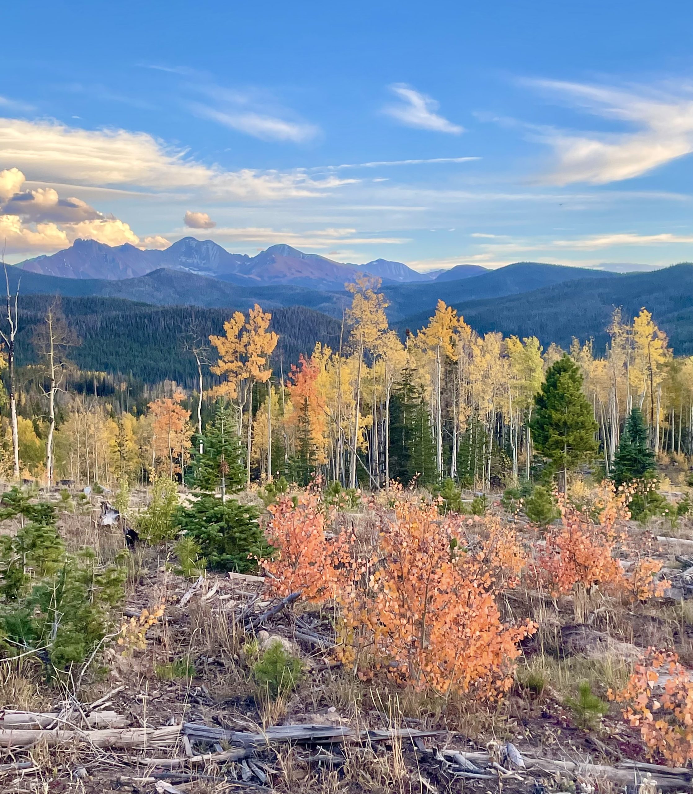 Photo of the Week: Fall Colors in Northern Colorado