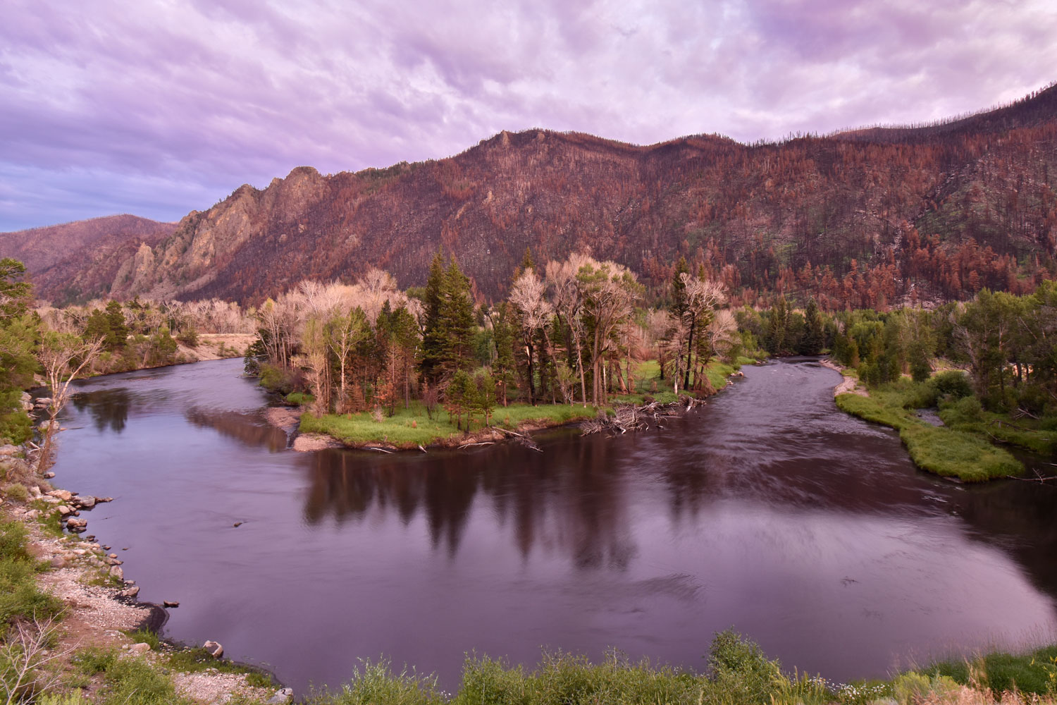 New Multimedia Project Explores Impacts of Cameron Peak Fire