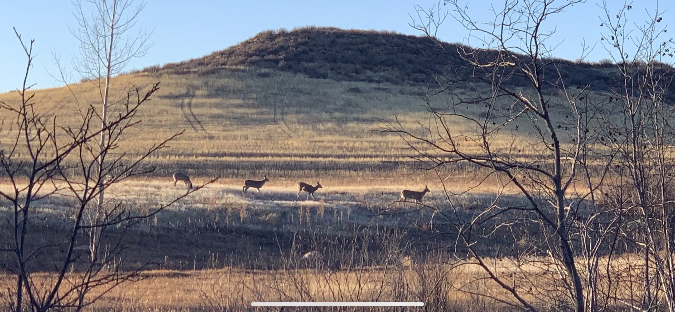 Photo of the Week: Ohhh What a Beautiful Day in December