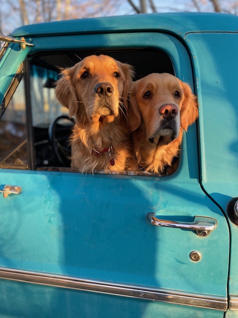 Photo of the Week: A Golden Moment — Boys In Blue