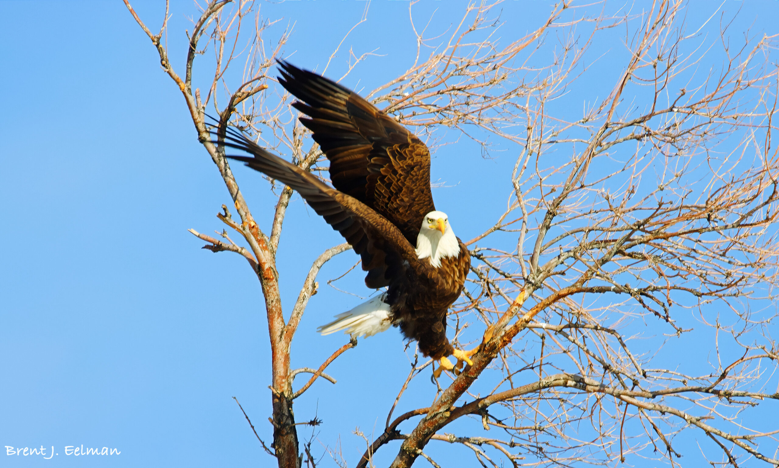 Photo of the Week: Take Off!