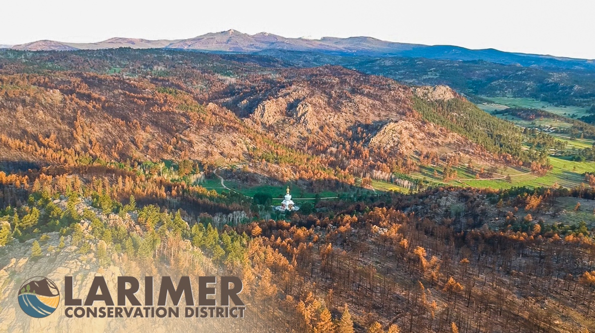 Introducing: The Larimer Conservation District!