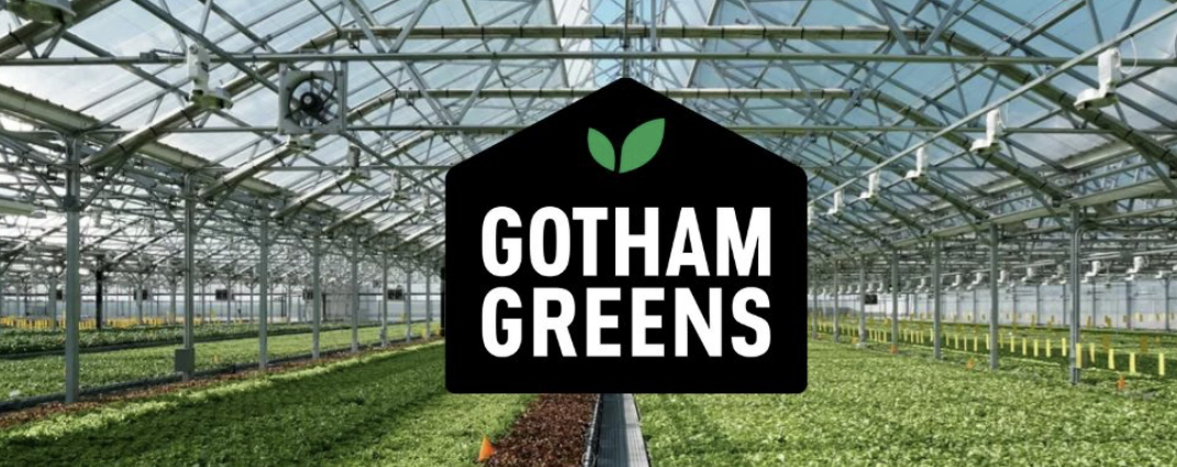 Sustainable Farming with Gotham Greens