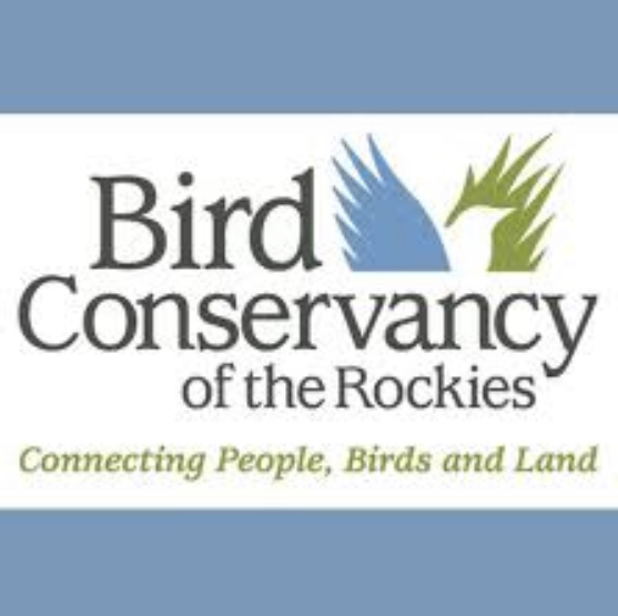 Bird Conservancy of the Rockies Scientists Discover Unique Flight Behavior in Black Swifts