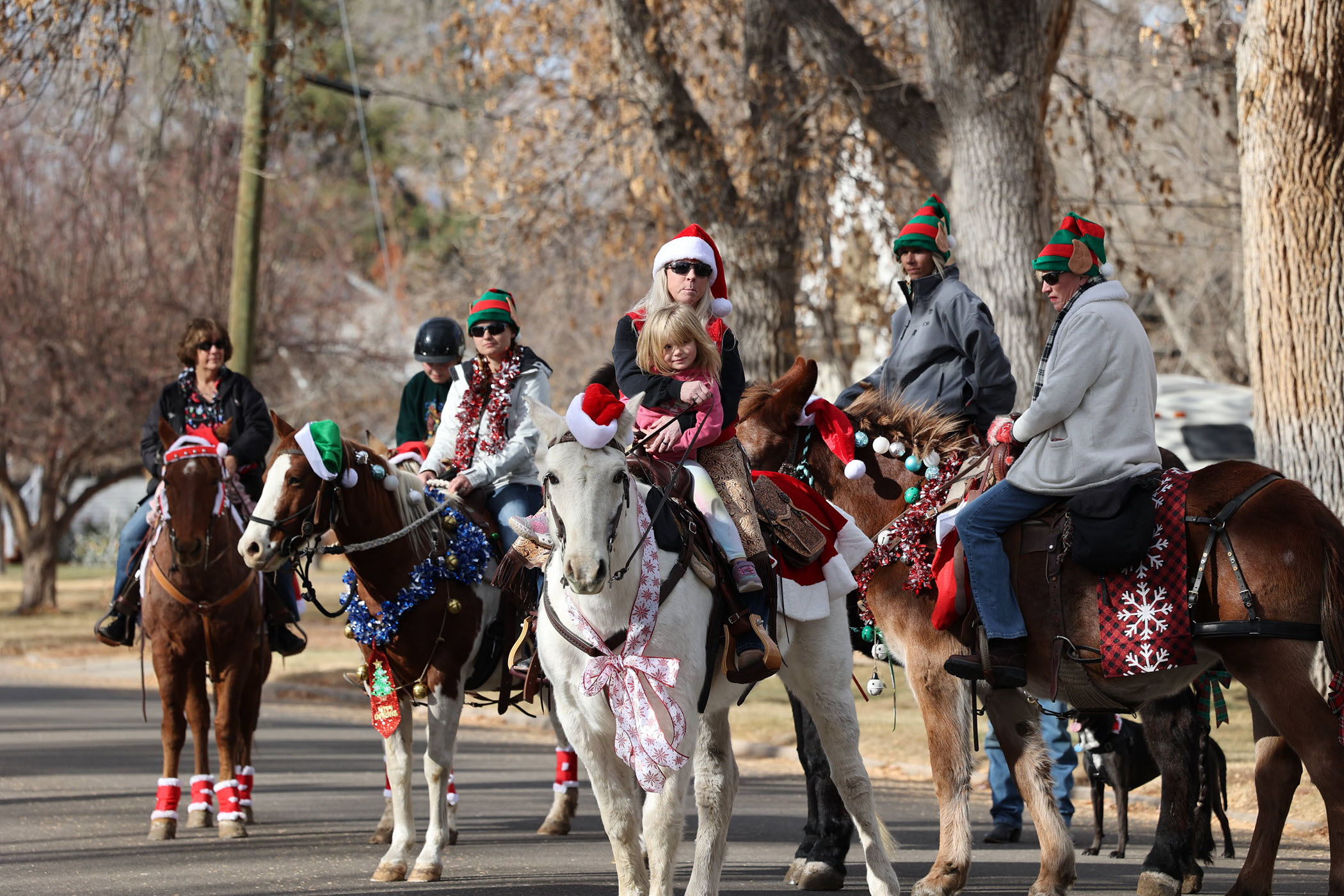 Horseman’s Association Celebrates 50 Years