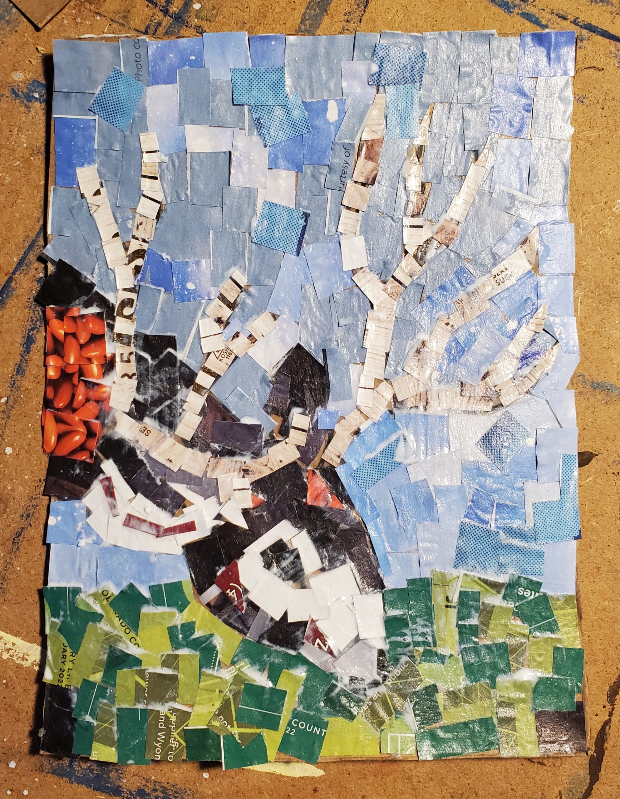 Summer Art Classes at Sanderosa Gallery in Laporte