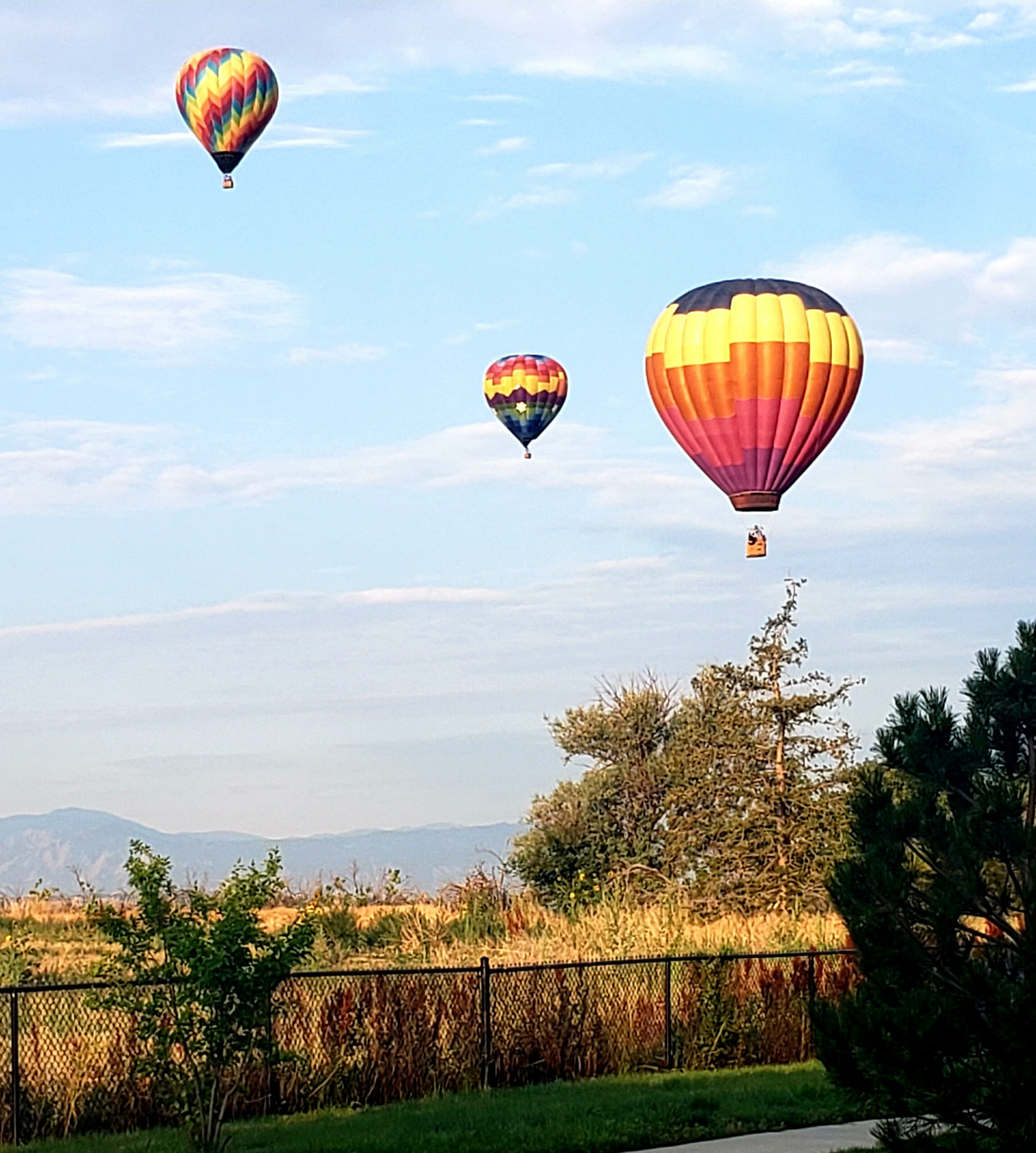 Photo of the Week: Beautiful Balloons