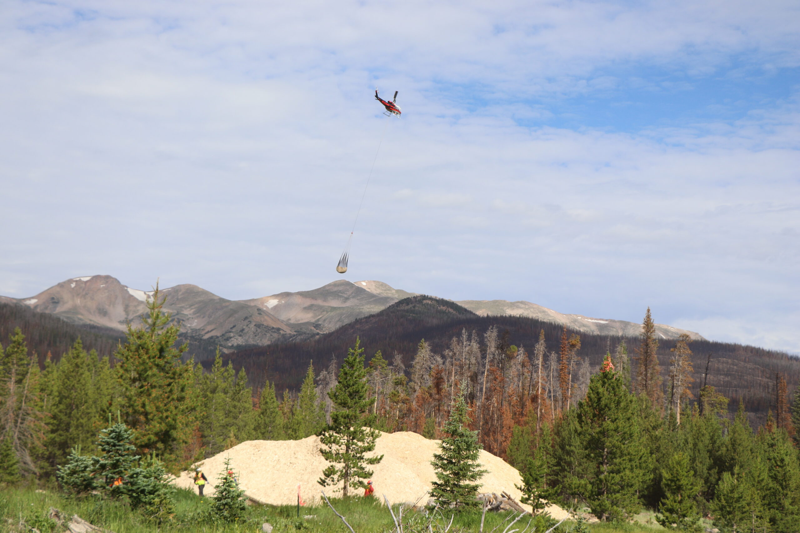 Aerial Mulching Operations to Resume in Cameron Peak Burn Area