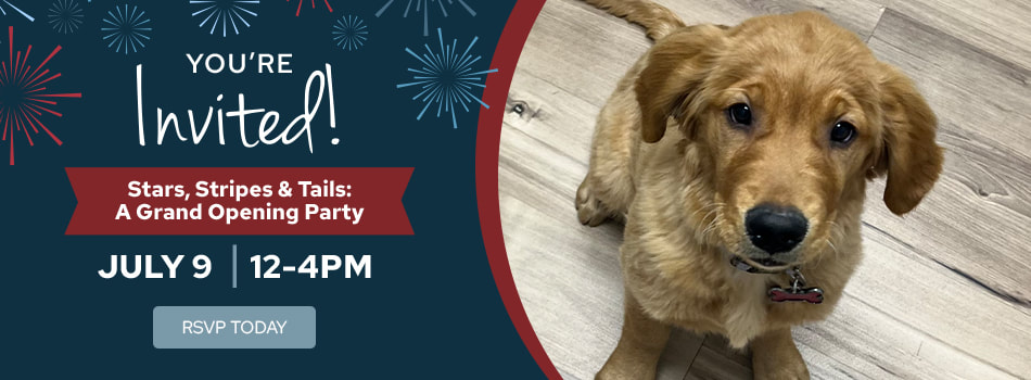 Crossroads Animal Hospital Invites Pets (And Their People) to Celebrate July 9 Grand Opening in Windsor