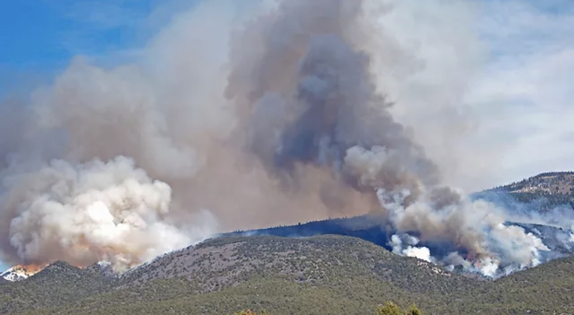 Burning Issues: How to Prepare Your Farm/Ranch for the Next Wildfire