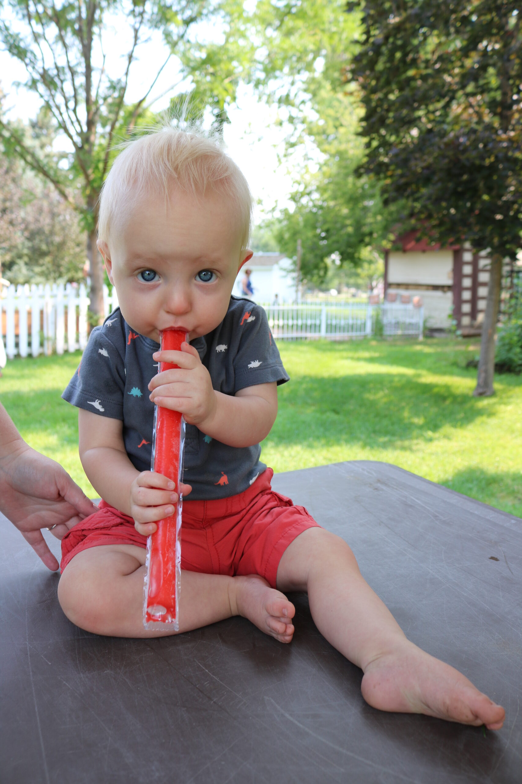Pets N Popsicles Delivers Sweet Treats to Beat the Heat at Centennial Village Museum