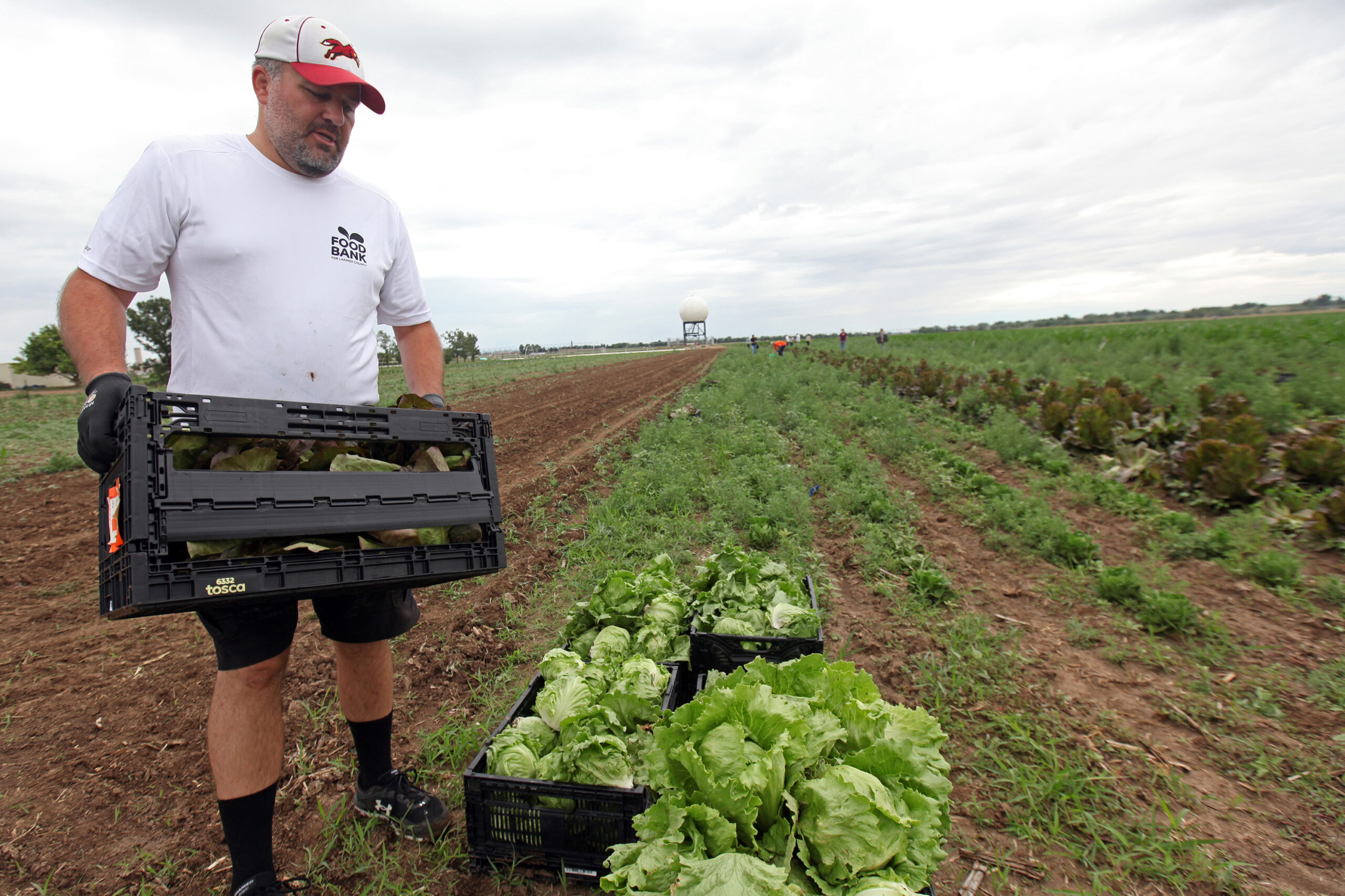 Governor Polis Highlights Opportunities for Coloradans to Support Local Farmers and Ranchers and Shop Fresh