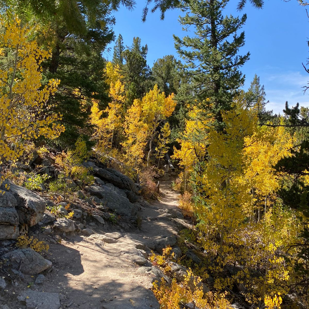 “Leaf-Peeping” Season in Colorado is Peaking; Recreate Responsibly