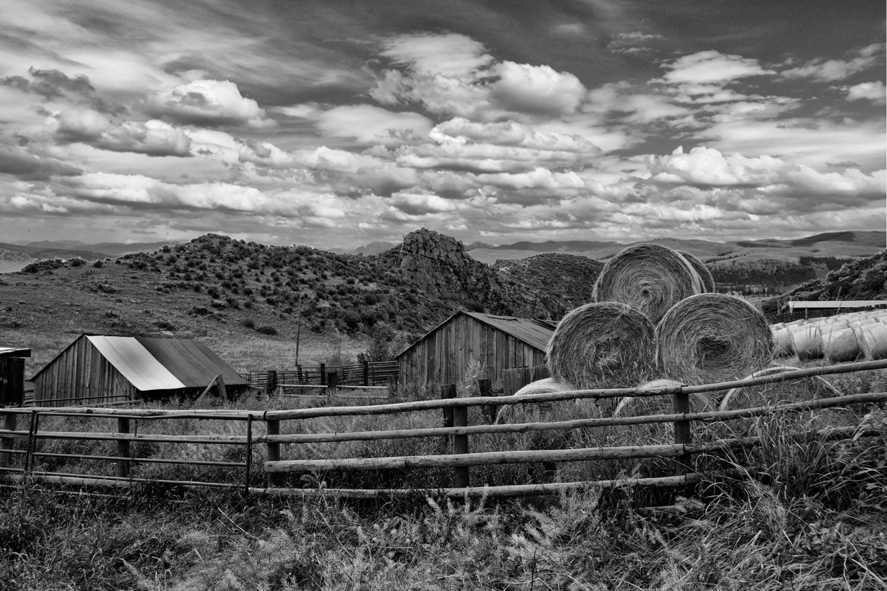 Photo of the Week: Hood Ranch