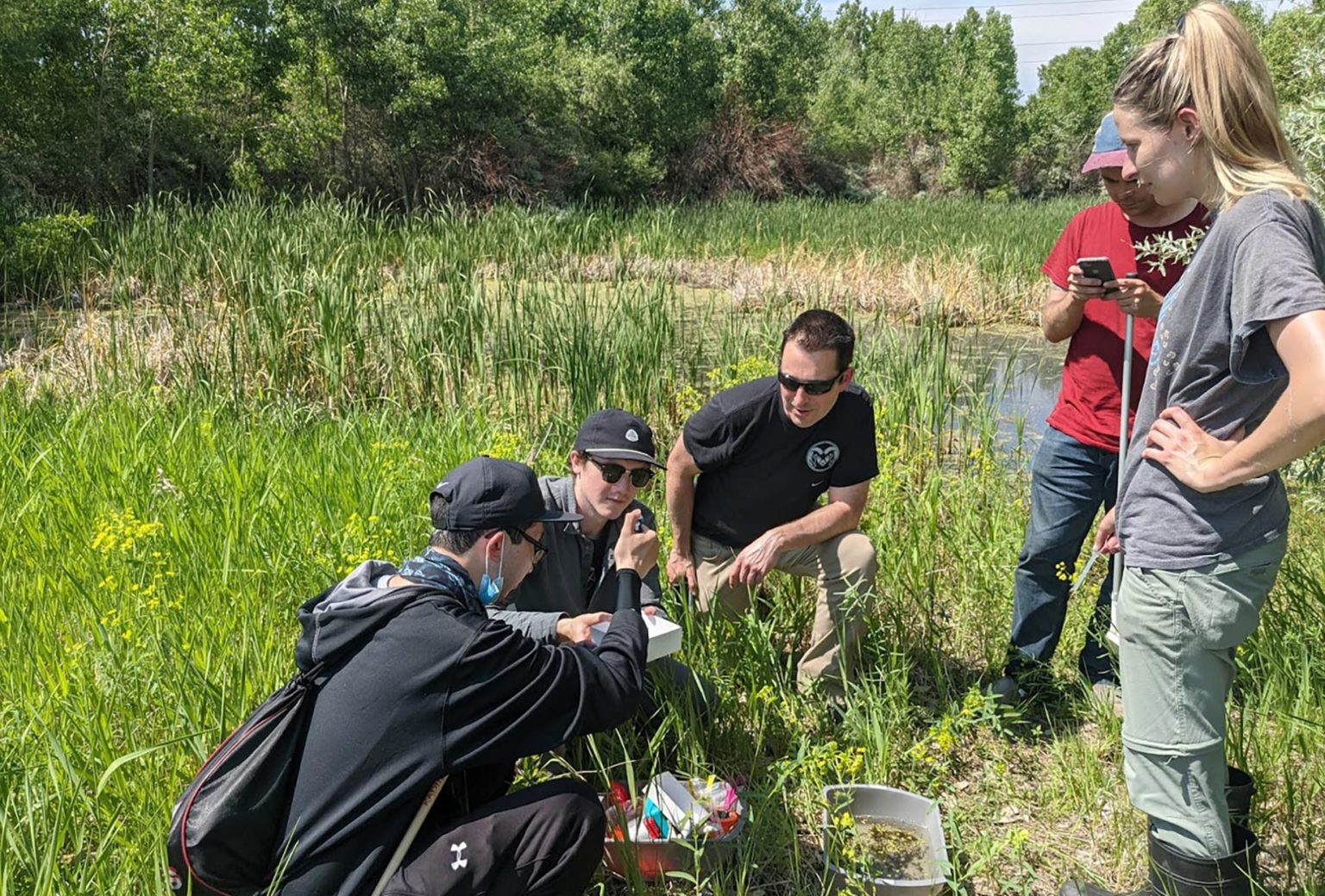 First West Nile Case of the Season Confirmed in Weld County