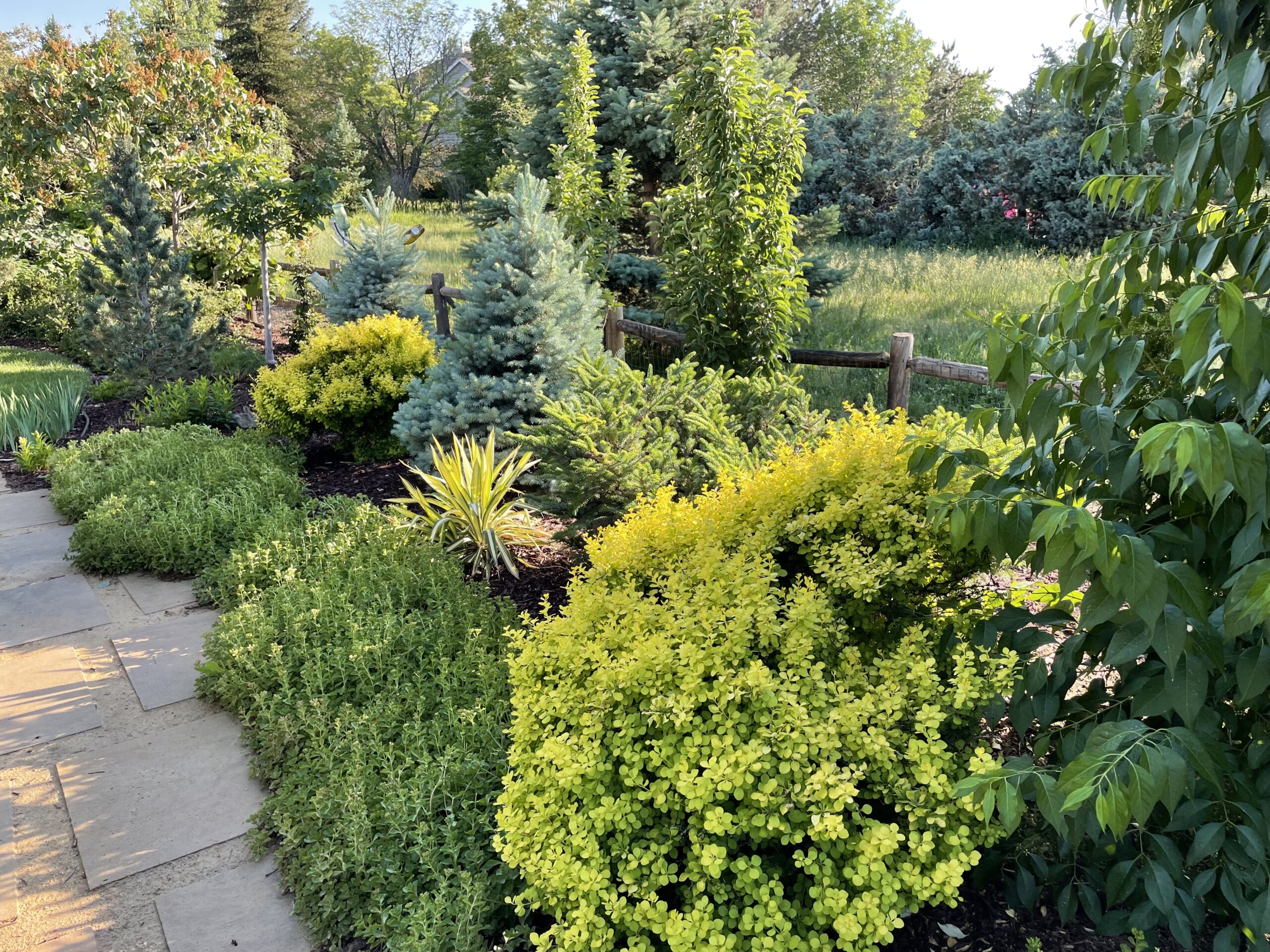 Planting Along Your Garden Borders
