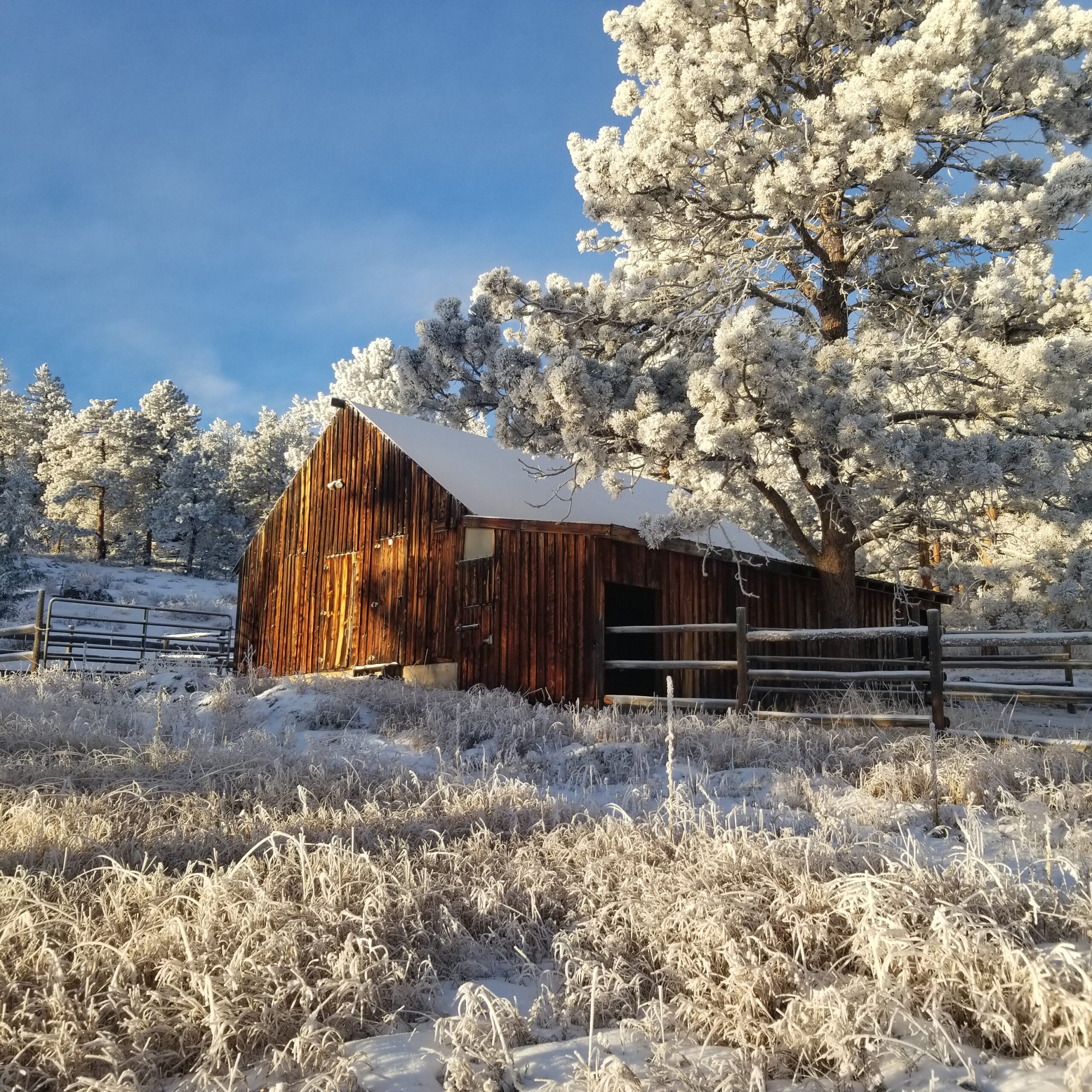 Photo of the Week: A Beautiful New Year Morning