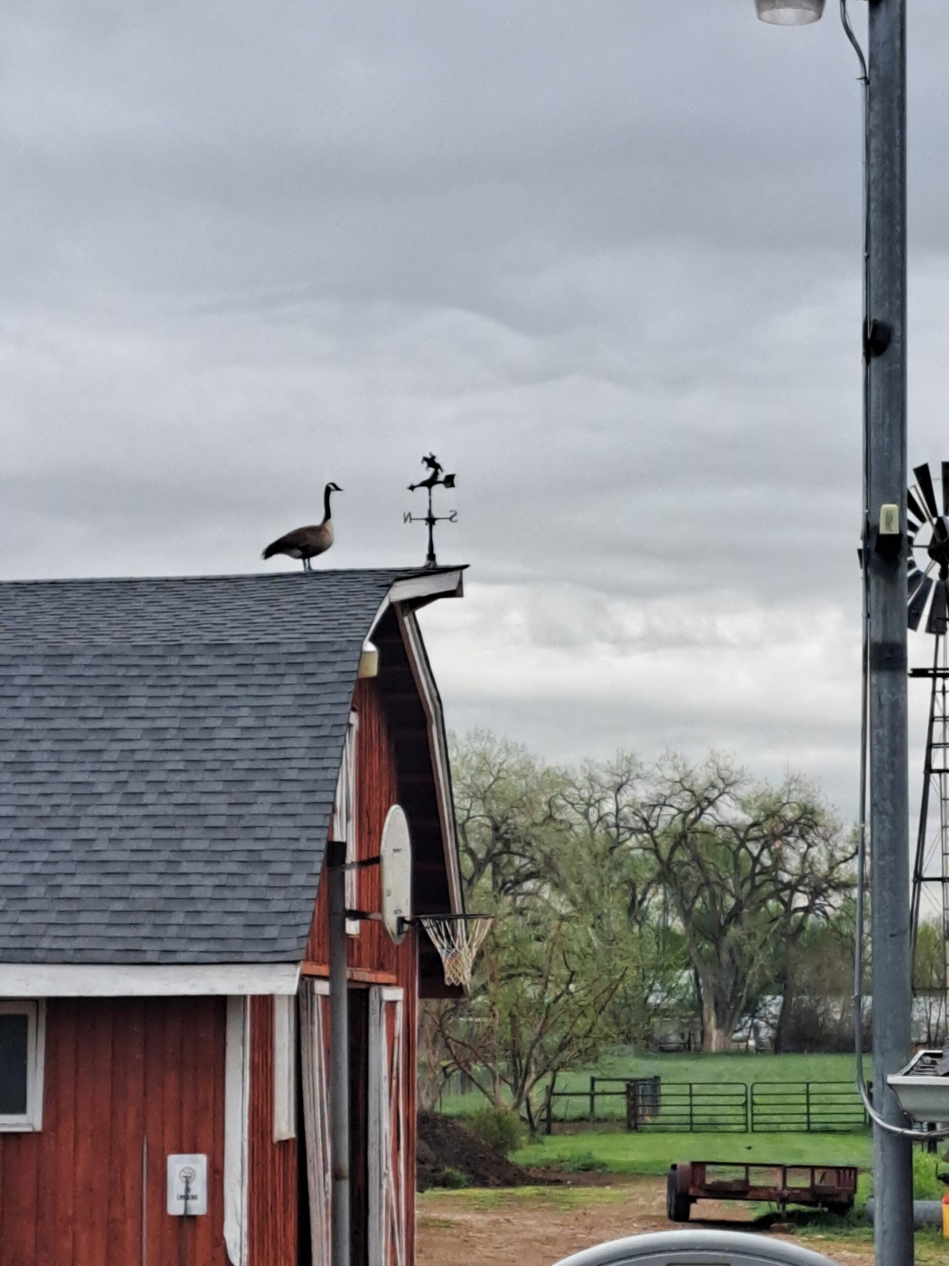 Photo of the Week: Confused