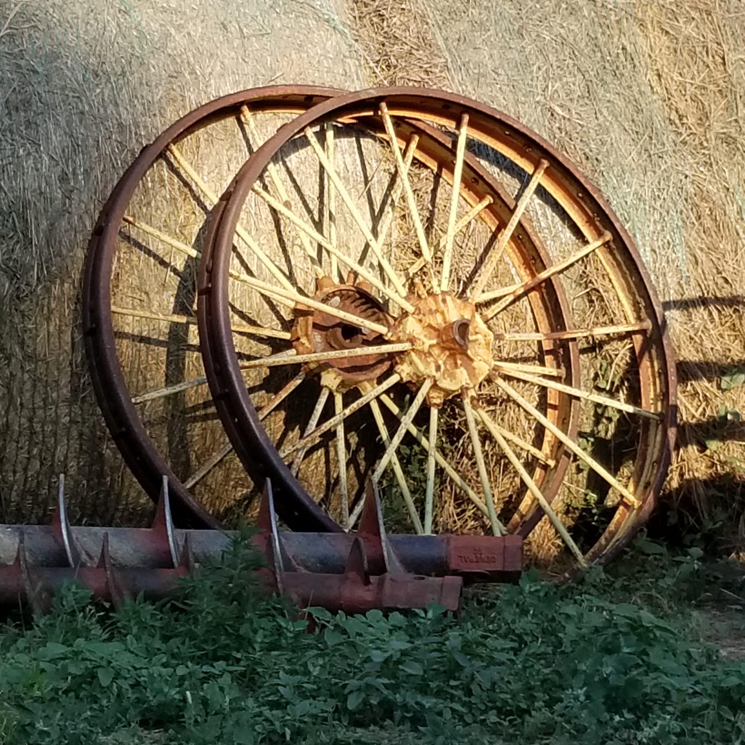 Photo of the Week: Life of Stories and Labor