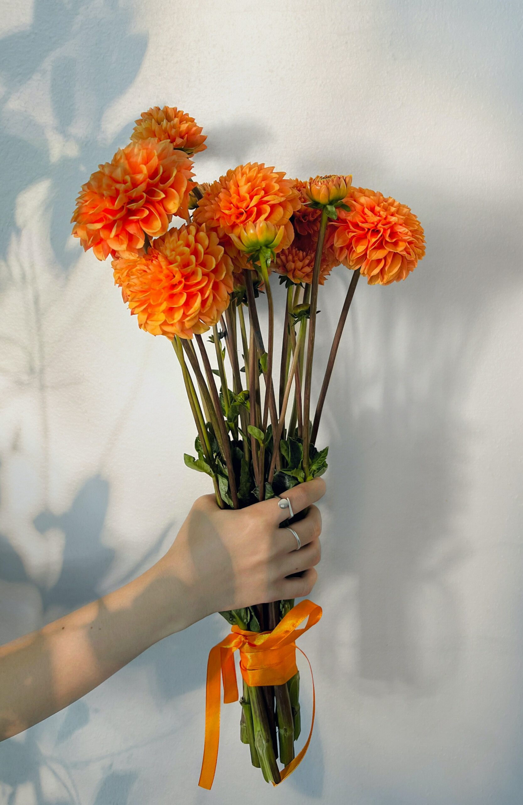 Say Goodbye to Summer with Annual Cut Flowers