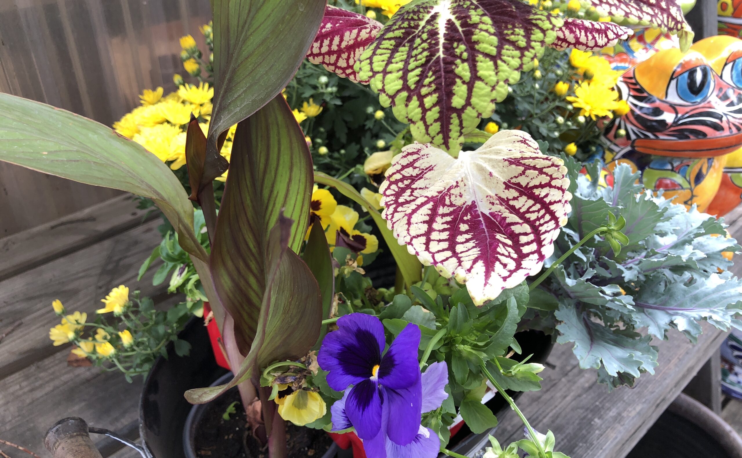 Fall Container Gardens
