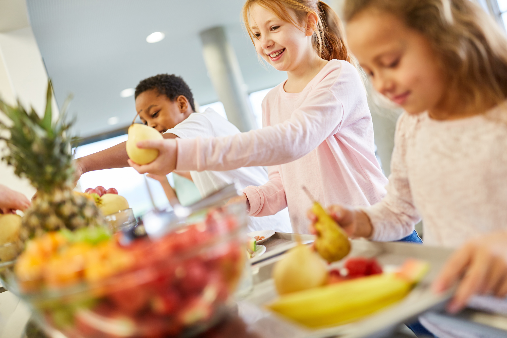 Free Healthy School Meals for Public School Students Underway