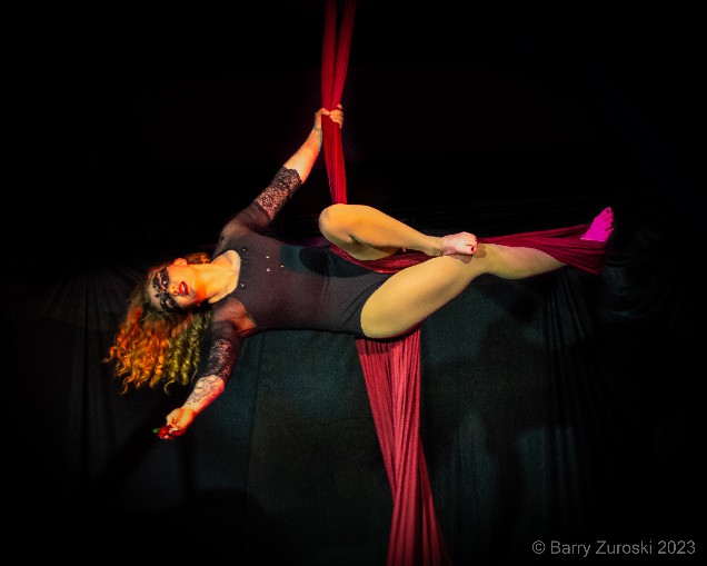 Step with Care and Great Tact, and Remember That Life’s a Great Balancing Act ~ Dr. Seuss