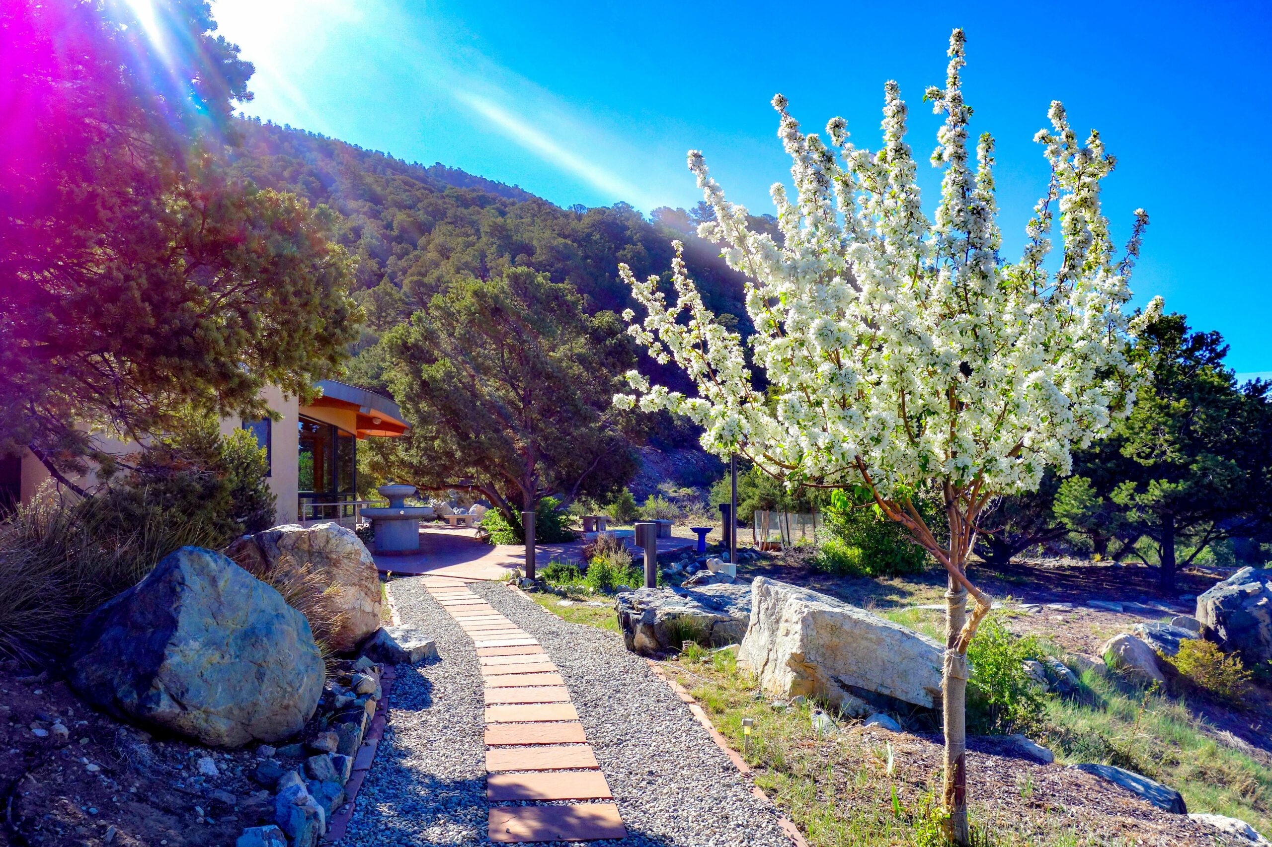 Shumei International Institute Will Celebrate 22 Years in Crestone with May Event