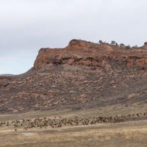 Larimer County Offers First Public Tours of New Canyon Edge Open Space