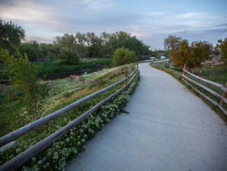 A paved trail along the Poudre River with wood post fencing and plants surrounding it.