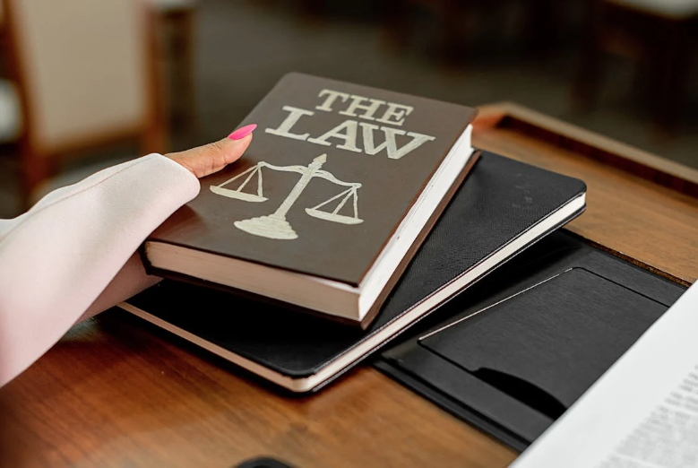 Alt-Text: A Person Holding a The Law Book