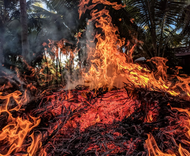 
Alt-text: Orange Fire
https://www.pexels.com/photo/orange-fire-948270/