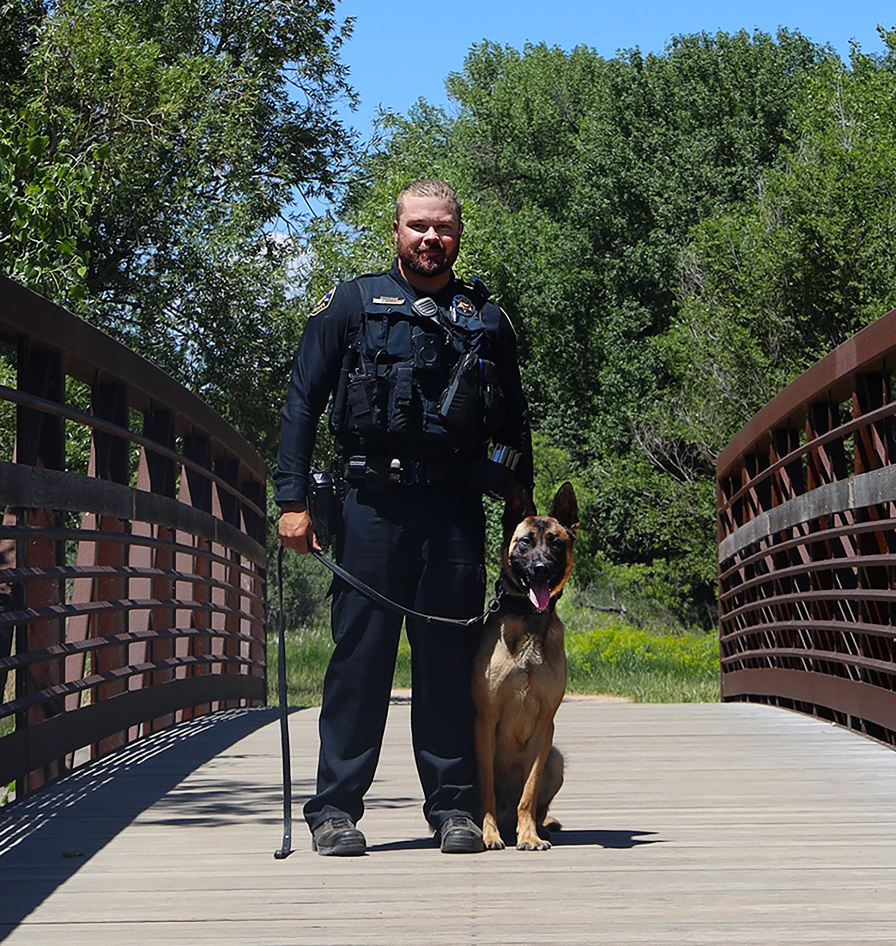 Larimer County Sheriff’s Office Introduces K9 Odin 