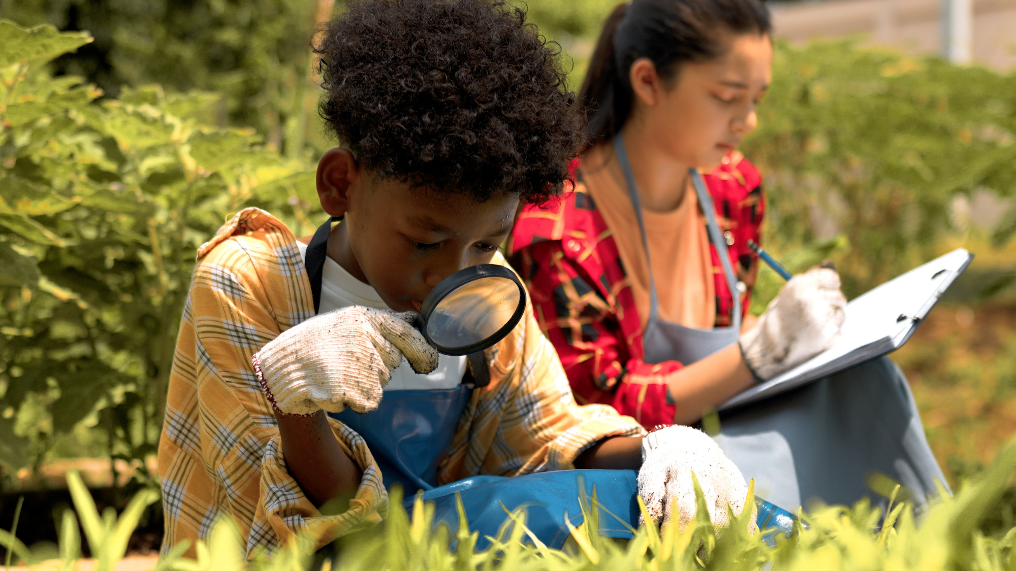 How Greener Schoolyards Benefit Colorado Kids, Communities