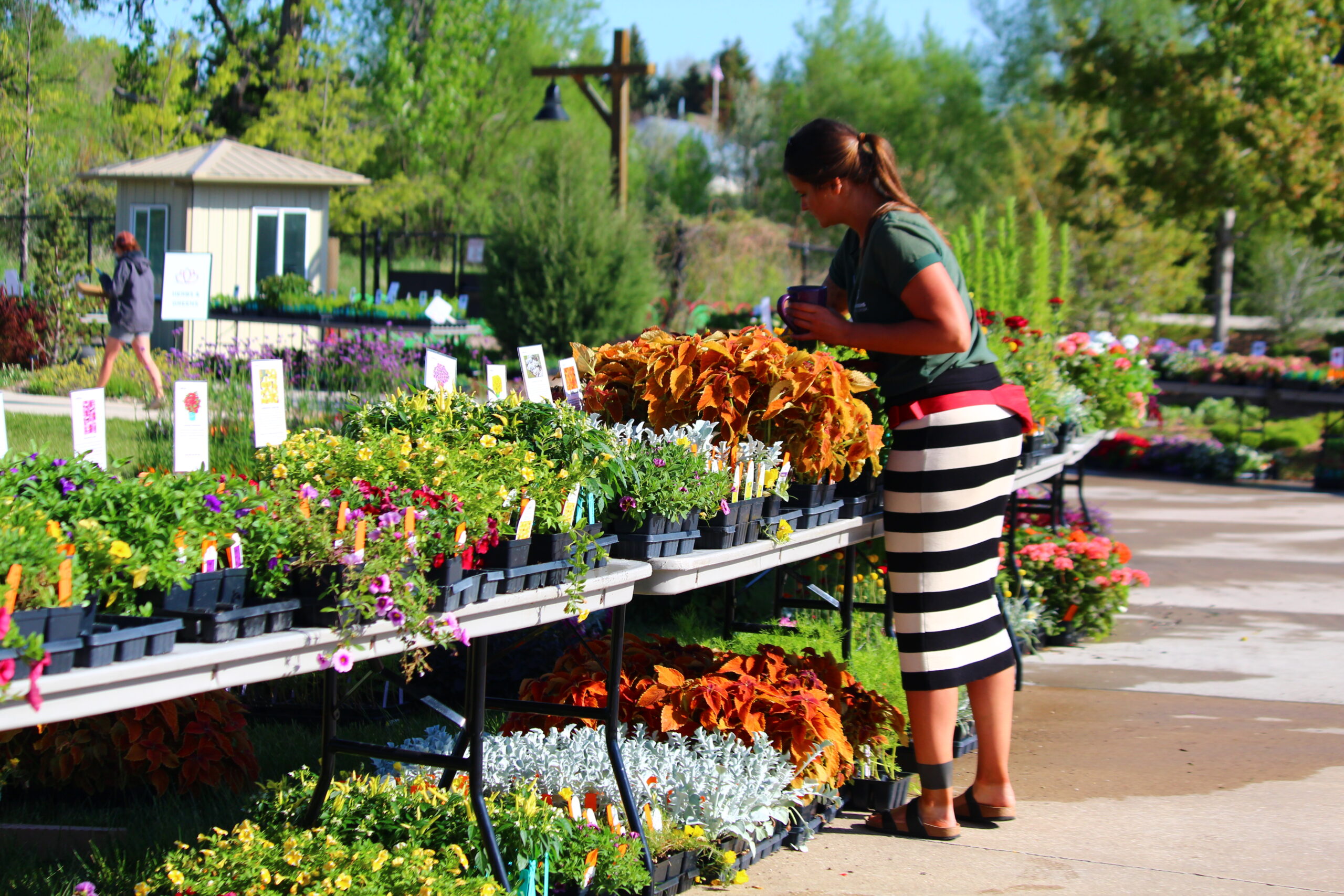 Color Shapes Every Garden Space