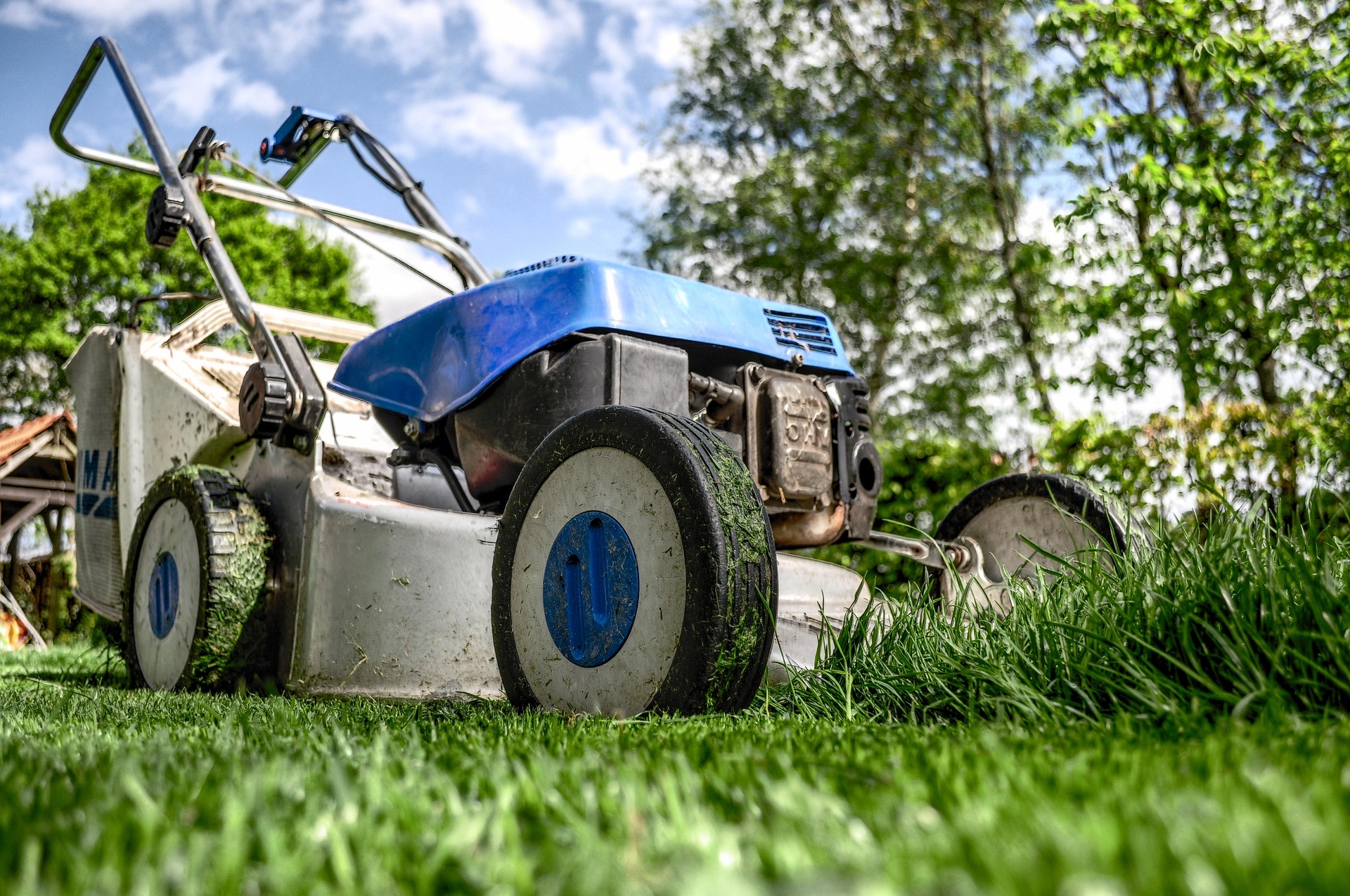 No Mow May